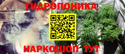 гидра Моздок