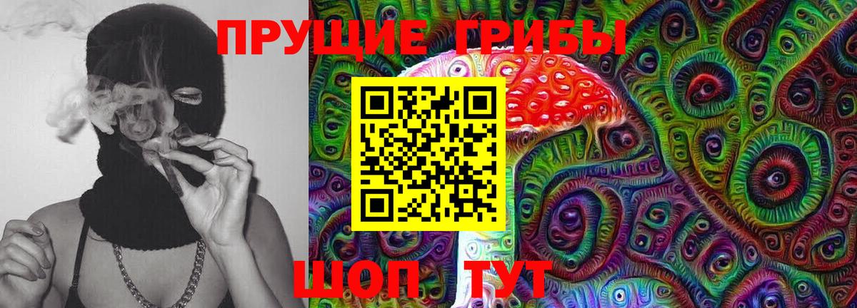 Псилоцибиновые грибы ЛСД  Вход с VPN  Верхняя Салда  где купить наркотик  Галлюциногенные грибы Psilocybine cubensis 